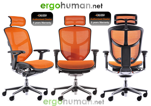 Enjoy Mesh Office Chair