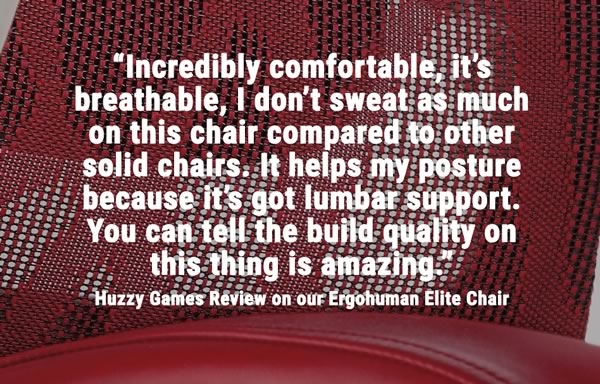 Huzzy Games Ergohuman Office Chair Review