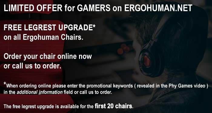 Ergohuman Office Chair Gaming