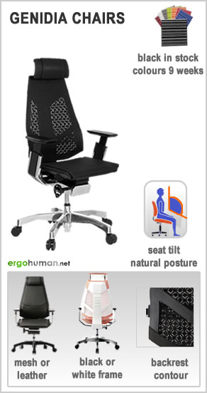 Genidia Office Chair