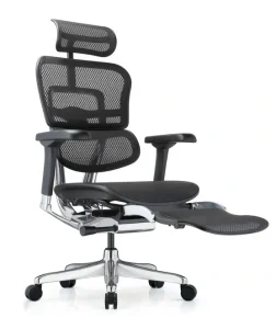 Ergohuman Elite Mesh Office Chair G2 with LegRest Ergohuman Elite Mesh Office Chair G2 with LegRest