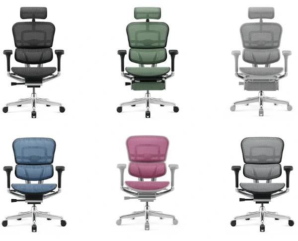 Ergohuman Elite Mesh Office Chairs G2