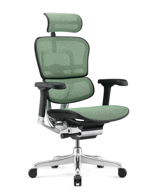 Ergohuman Luxury Mesh Office Chair - New Model G2