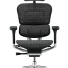 Ergohuman Elite Black Mesh Office Chair New Model G2 front