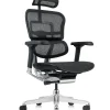 Ergohuman Luxury Black Mesh Office Chair - New Model G2