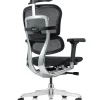 Ergohuman Luxury Black Mesh Office Chair - New Model G2 back