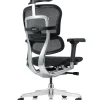 Ergohuman Elite Mesh Office Chair New Model G2 back