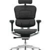 Ergohuman Elite Black Mesh Office Chair New Model G2 front