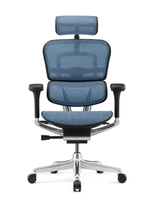 Ergohuman Luxury Blue Mesh Office Chair - New Model G2