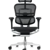 Ergohuman Luxury Black Mesh Office Chair - New Model G2 front