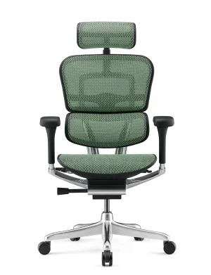 Ergohuman Luxury Green Mesh Office Chair - New Model G2