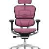 Ergohuman Elite Pink Mesh Office Chair - New Model G2