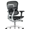 Ergohuman Luxury Mesh Office Chair - New Model G2 back