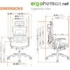 Ergohuman Elite Office Chair Dimensions