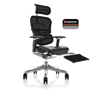 Ergohuman Plus Luxury Leather Seat, Mesh Back with Leg Rest and Notebook Arm