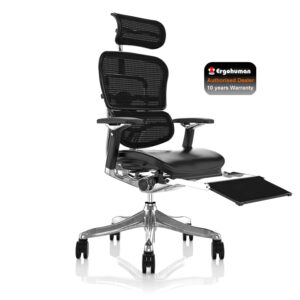 Ergohuman Plus Luxury Brown Leather Seat, Mesh Back with Leg Rest and Notebook Arm