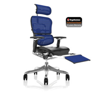 Ergohuman Plus Luxury Brown Leather Seat, Blue Mesh Back with Leg Rest and Notebook Arm