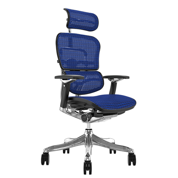 Ergohuman plus best sale mesh chair