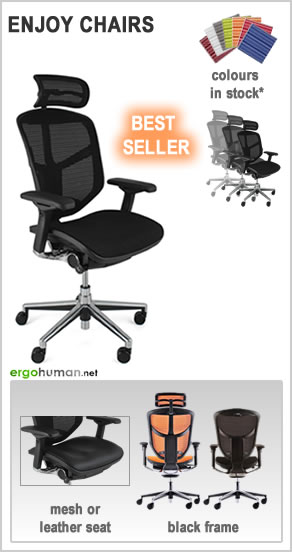 Ergonomic Office Chairs - Enjoy Elite Chairs