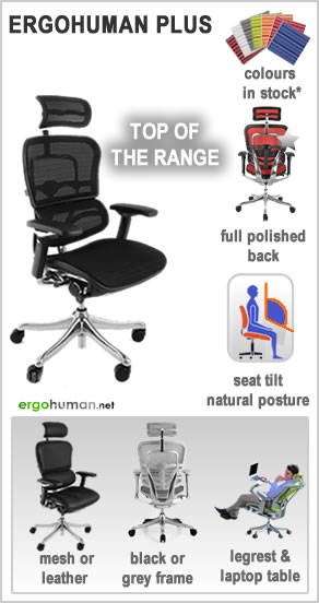 Ergonomic Office Chairs - Ergohuman Plus Luxury Chairs