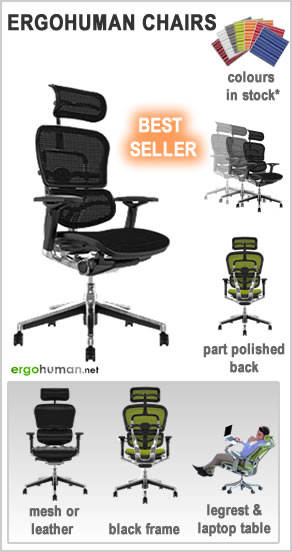 Ergonomic Office Chairs - Ergohuman Elite Chairs