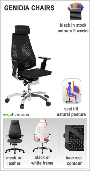 Ergonomic Office Chairs - Genidia Office Chairs
