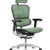 Ergohuman Elite Green Mesh Office Chair G2