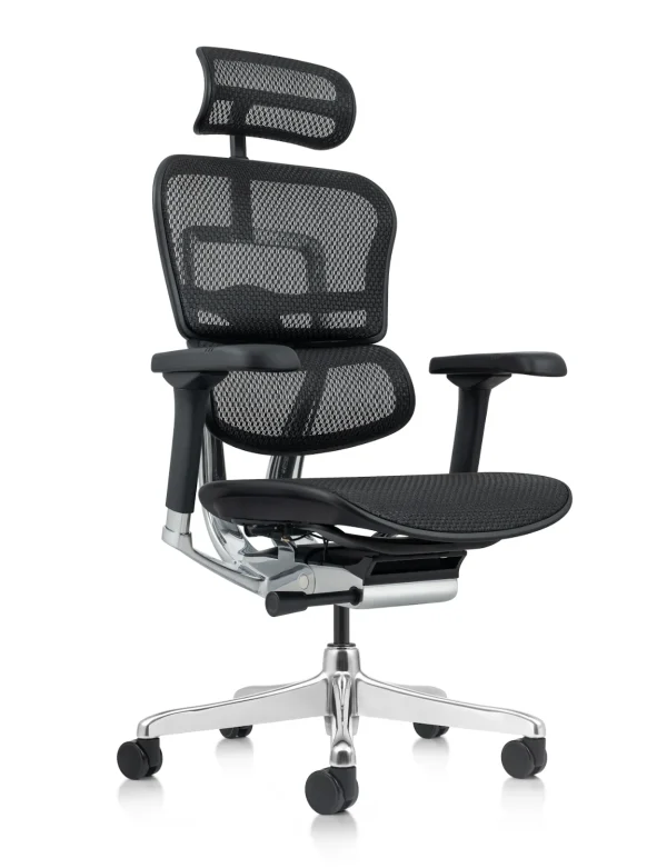Ergohuman Elite Office Chair G2 with Leg Rest G2 Latest Model