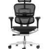 Ergohuman Elite Mesh Office Chair G2 back