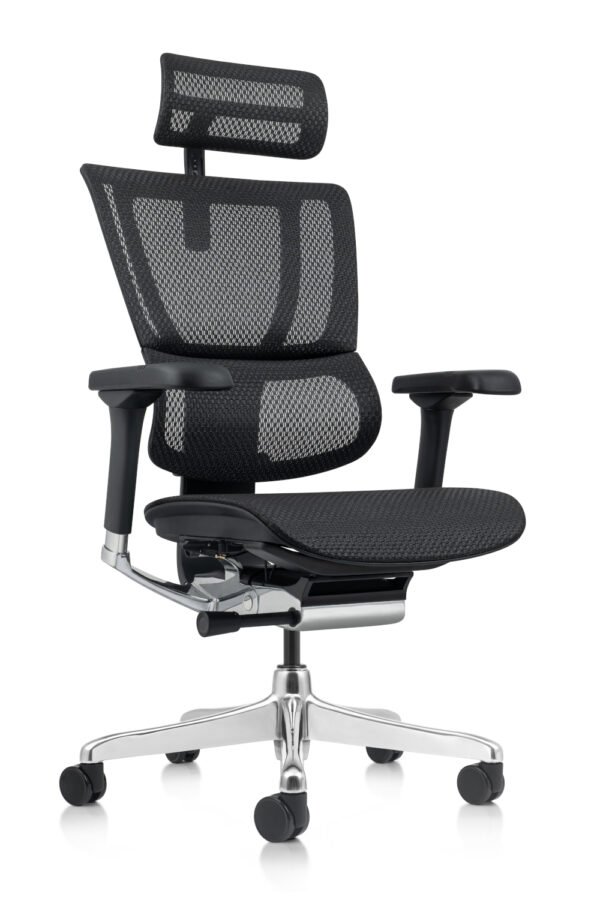 Mirus Elite Black Mesh Office Chair with head Rest