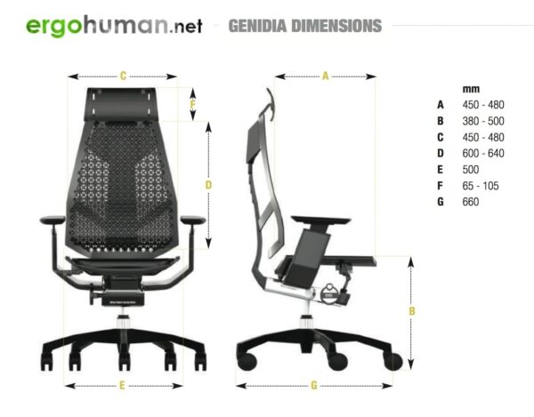 Genidia Office Chair Dimensions