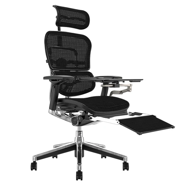 Ergohuman Elite Office Chair with Leg Rest and Notebook Arm