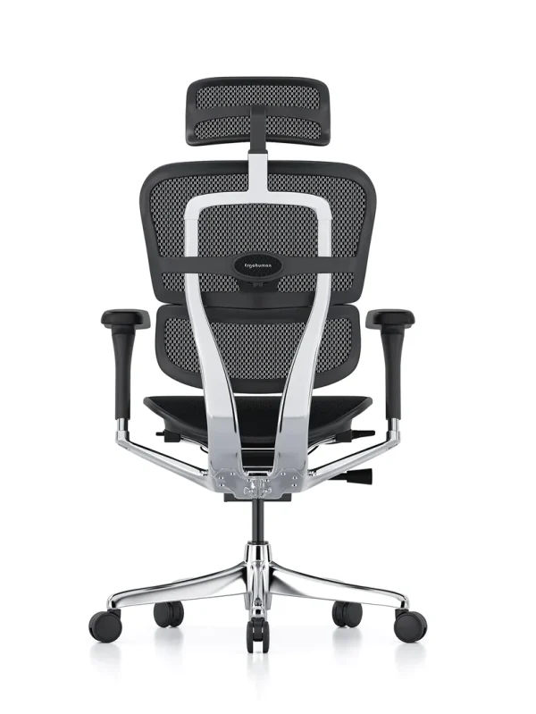 Ergohuman Elite Black Mesh Office Chair G2 Back