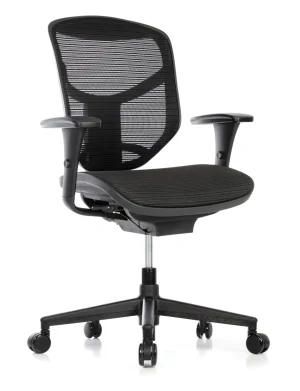 Project Enjoy Mesh Office Chair